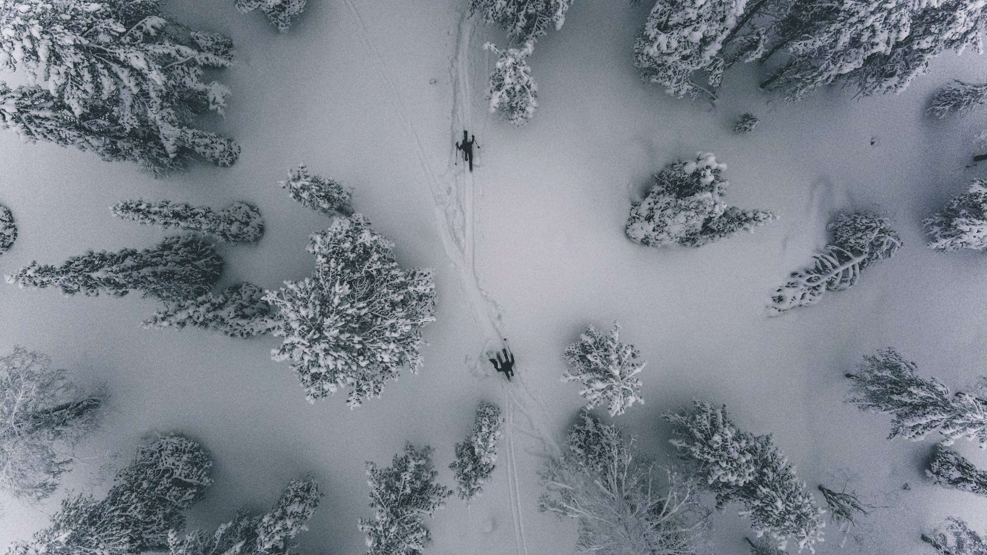 Wilderness Skiing in Lapland