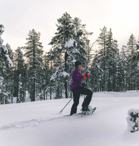 Snowshoe Snowshoeing in Lapland