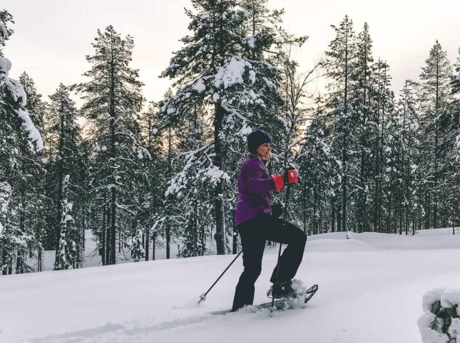 Snowshoe Snowshoeing in Lapland
