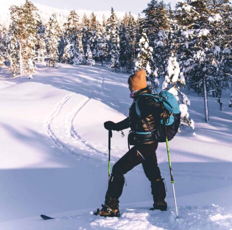 Wilderness skiing